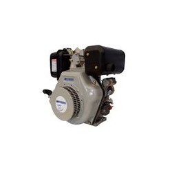 Motor 9 hp Diesel